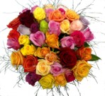 Delivery of beautiful bunch of mixed colour roses - Click to enlarge
