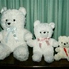 Small, medium and large teddies - can be used as a balloon weight or as a gift to complement an arrangement - Click to enlarge