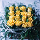Sending beautiful roses in the colour of your choice presented with foliage in a square container - Click to enlarge